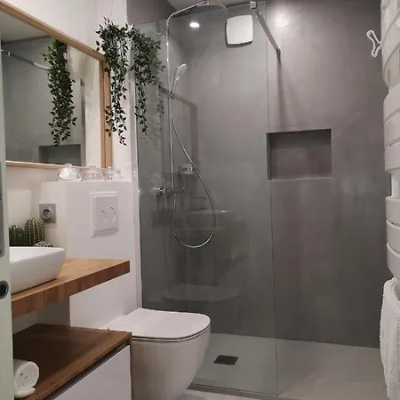 Lägenhet Carcasso Carcassonne