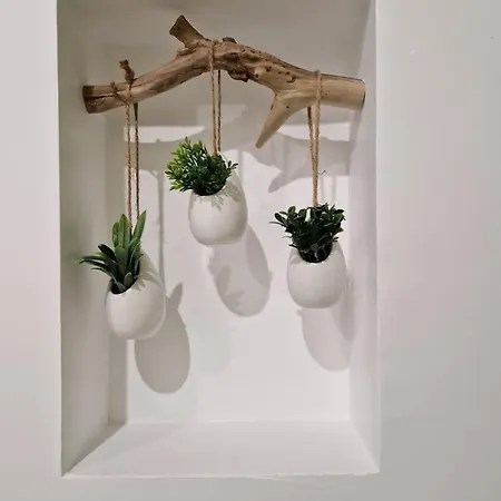 Carcasso * Carcassonne