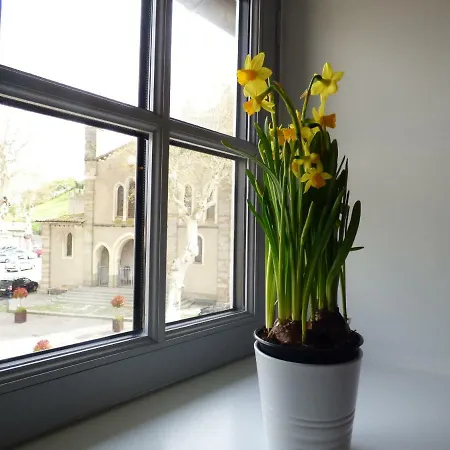 Lägenhet Carcasso Carcassonne