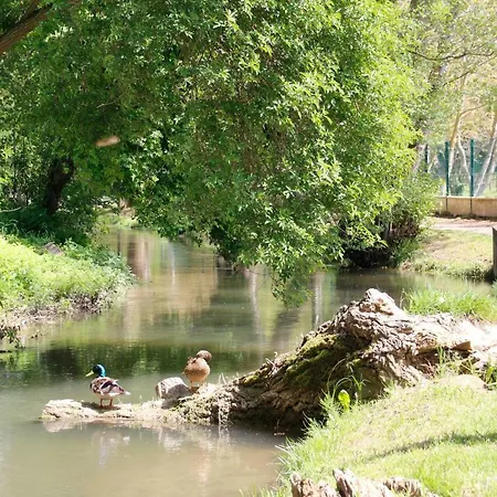 Carcasso * Carcassonne