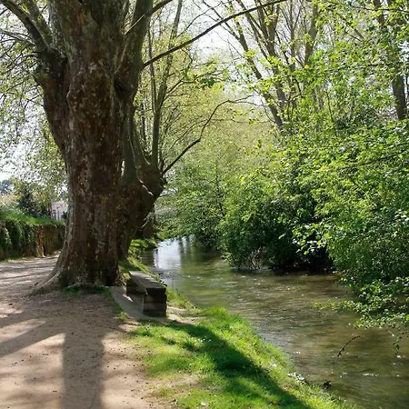 Apartment Carcasso *