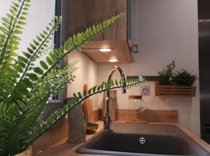 Carcasso Apartment *