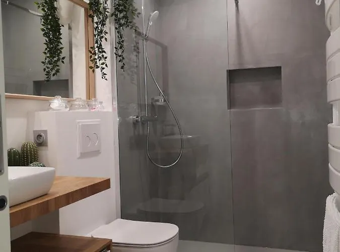 Apartment Carcasso Carcassonne