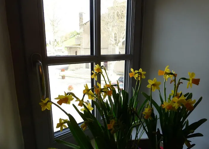 Apartment Carcasso Carcassonne