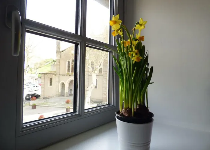 Apartment Carcasso Carcassonne