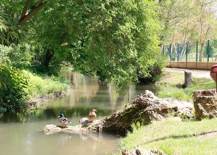 Carcasso * Carcassonne