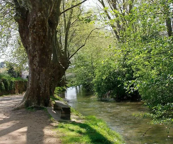 Apartment Carcasso *