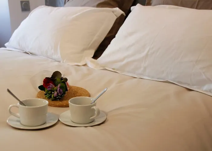 Apartment Carcasso Carcassonne